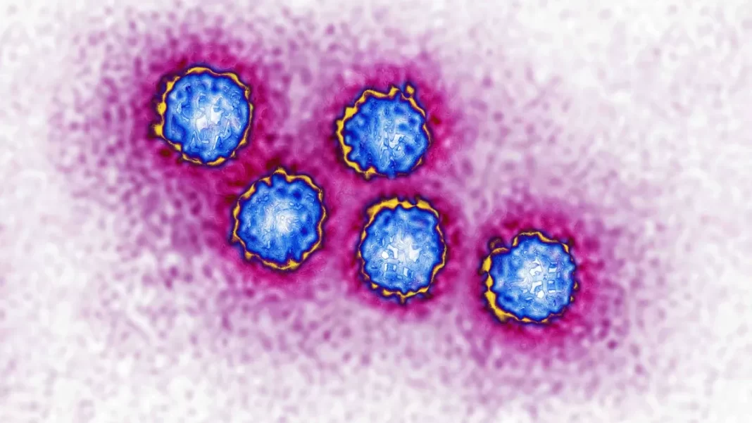 Hepatitis A outbreak declared in Los Angeles County
